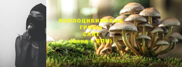 MDMA Богданович