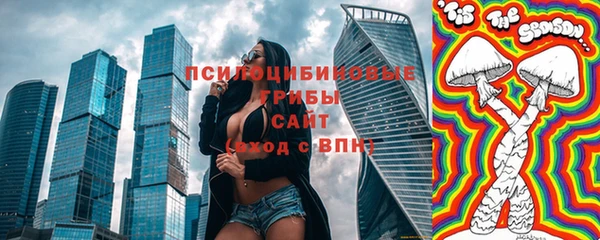 хмурый Богородицк