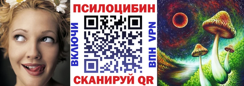 Псилоцибиновые грибы мицелий Дагестанские Огни